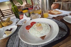 Breakfast starter
