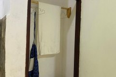 Chimpanzee-bath-room