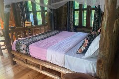 Chimpanzee-bed-room