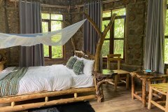 Chimpanzee-capital-bed-room