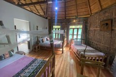 Chimpanzee-family-bed-room