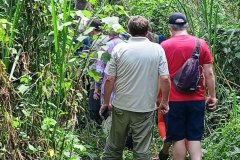 Chimpanzee-trekking-experience