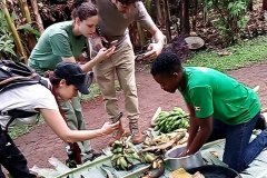 Community-banana