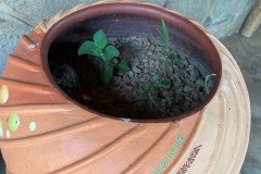 Flower-pot