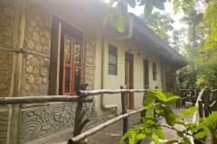 chimpanzee-capital-Cottage