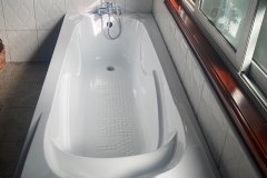 chimpanzee-capital-bath-tub