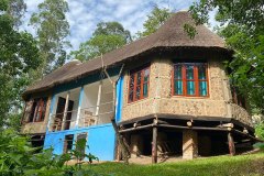 chimpanzee-capital-family-cottage