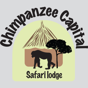 Chimpanzee Capital Safari Lodge